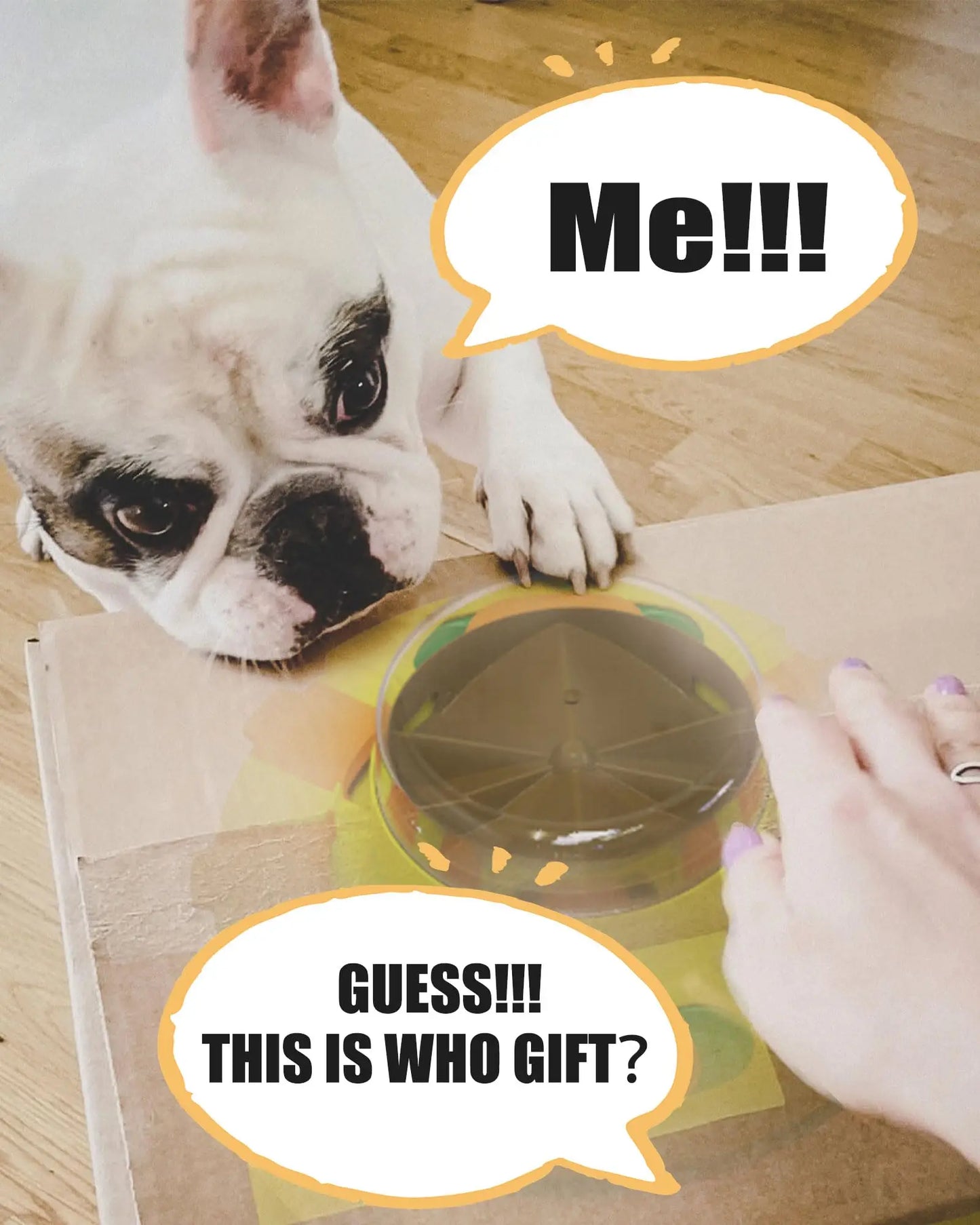 Interactive Puzzle Dog Toy Enrichment Slow Feeder Treat Dispenser