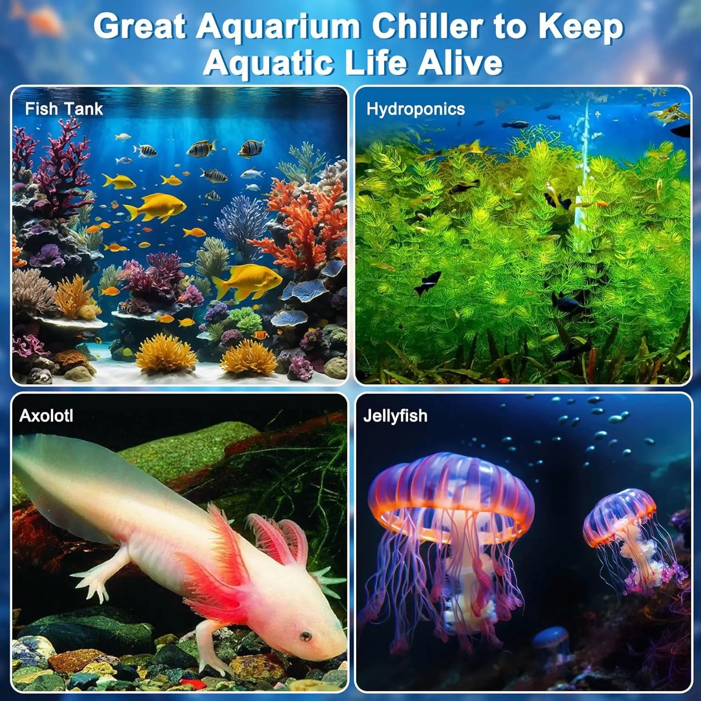 Aquarium Chiller One Third HP 79Gal Fish Tank Axolotl Cooler