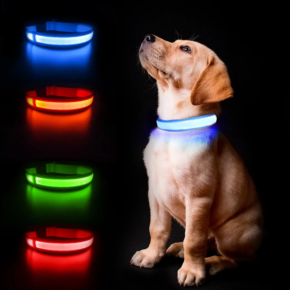 MASBRILLCN LED Dog Collar Waterproof Glow Necklace With Lights