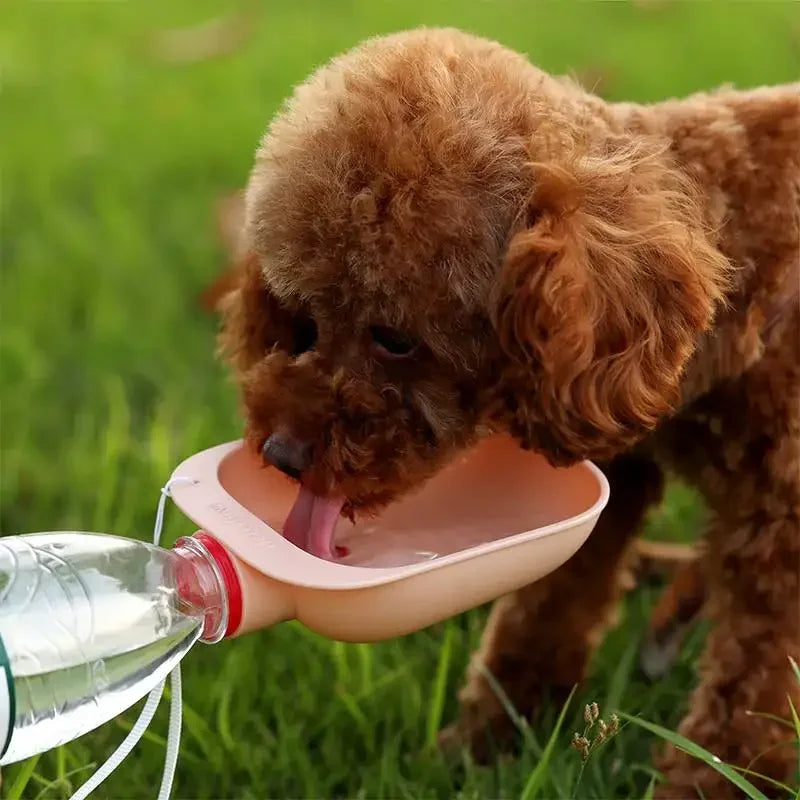 Dog Travel Water Bottle Portable Pet Water Bottle For Outdoors