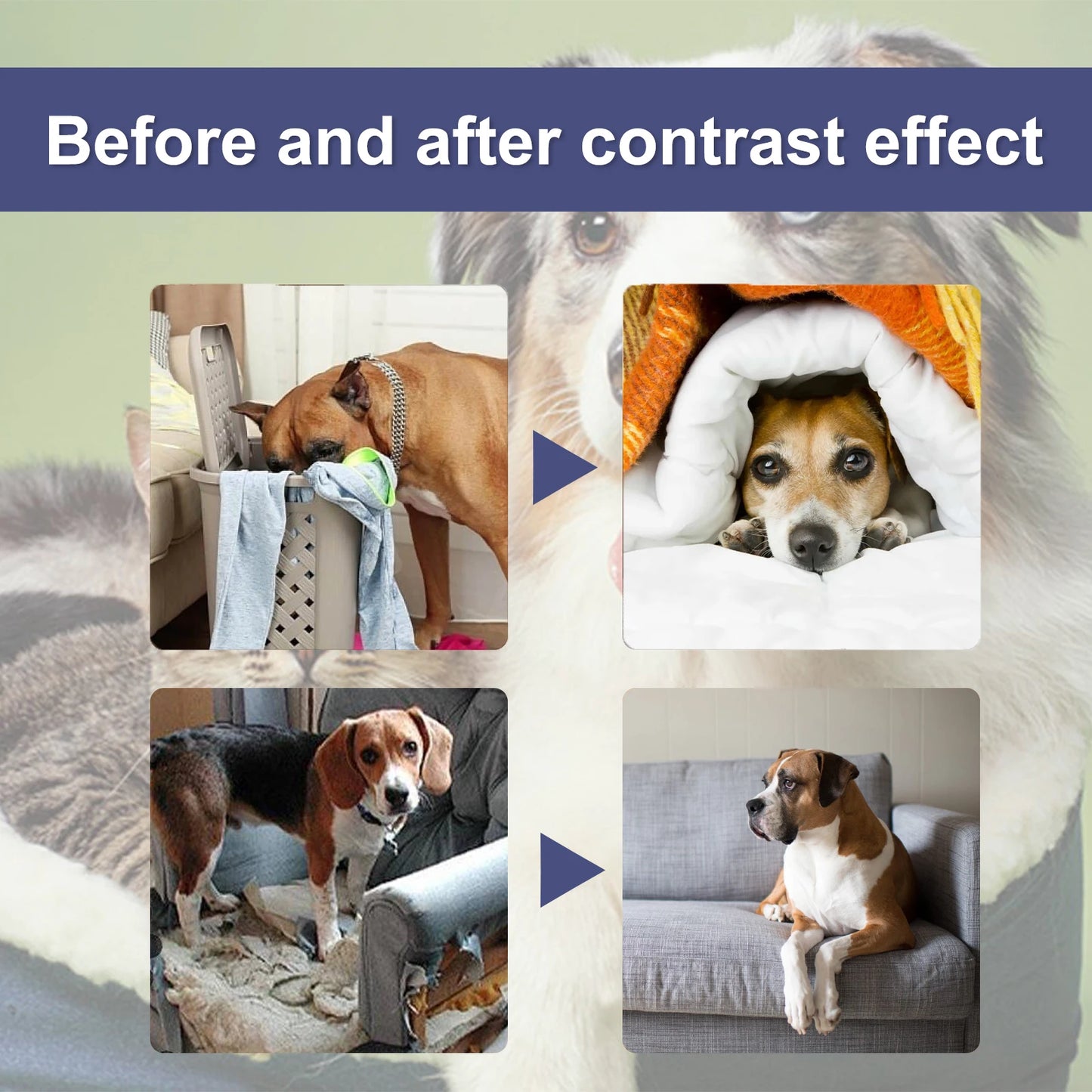 YEGBONG Dog Bitterness Spray Anti Chewing for Furniture and Scratching