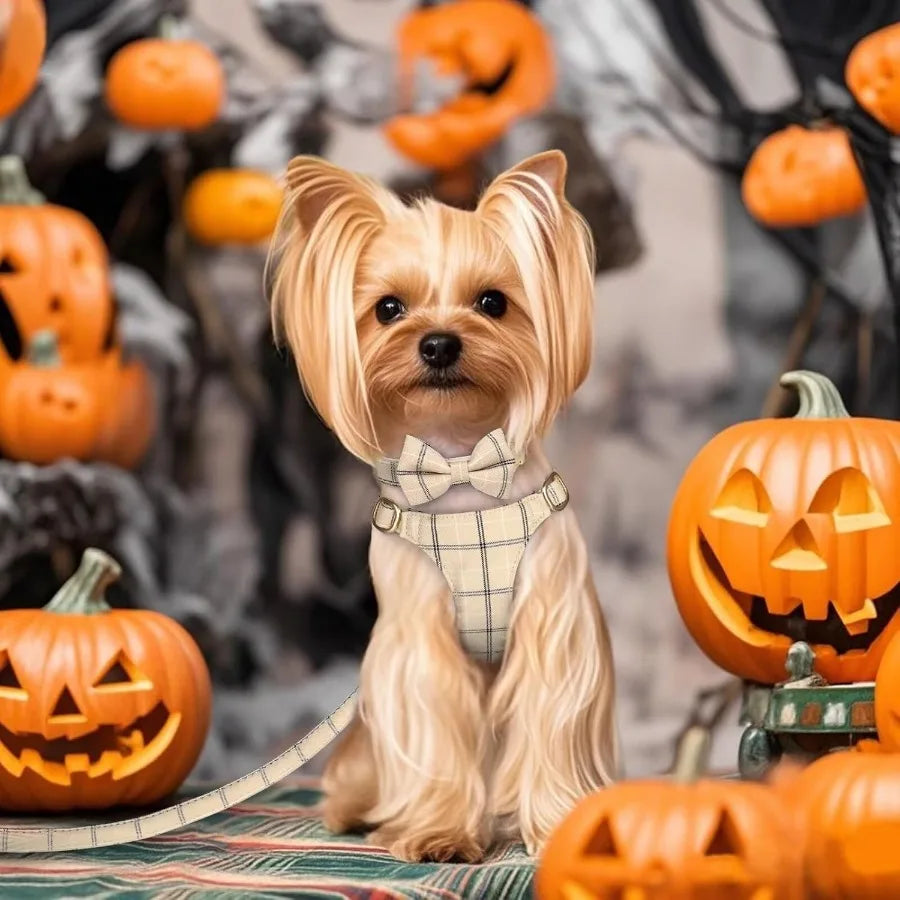 Hign-concerned Cute Dog Harness Leash Set Bowtie Accessory