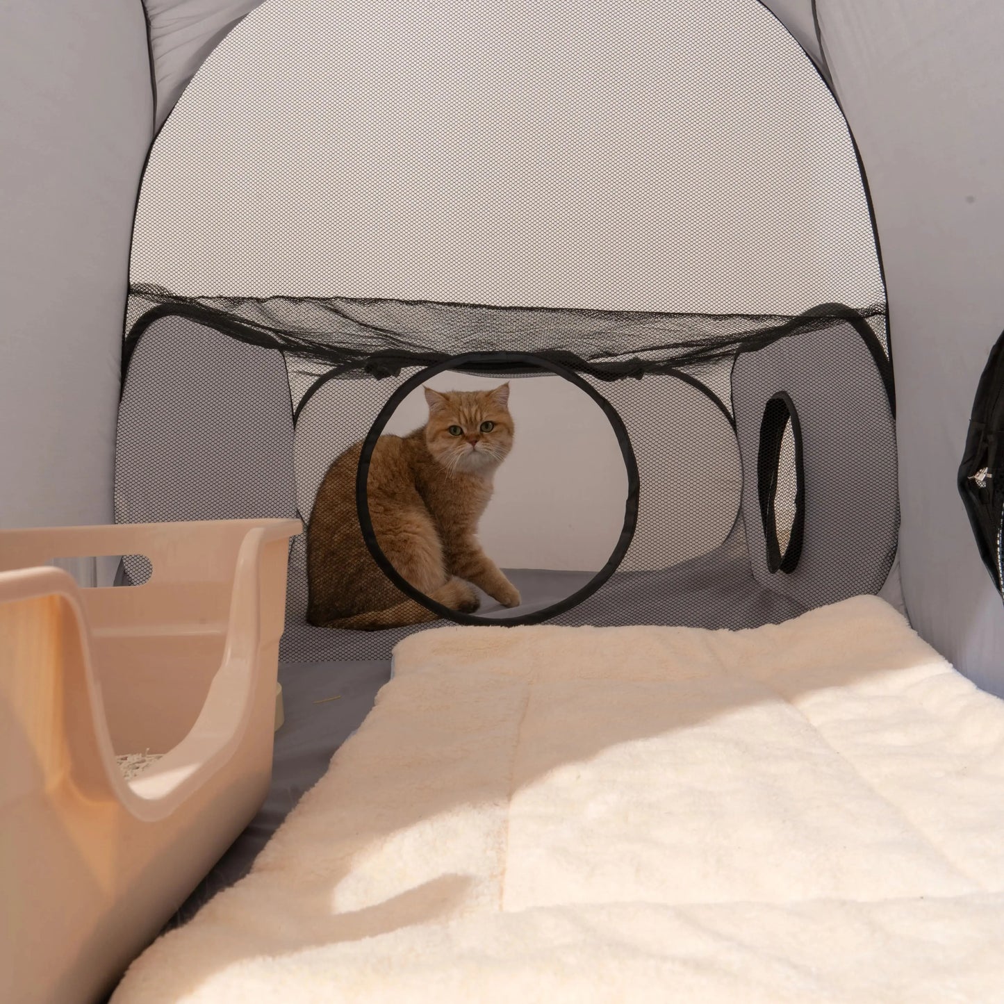 Foldable Oxford Cloth Cat Dog Bed With Play Tunnel Nest