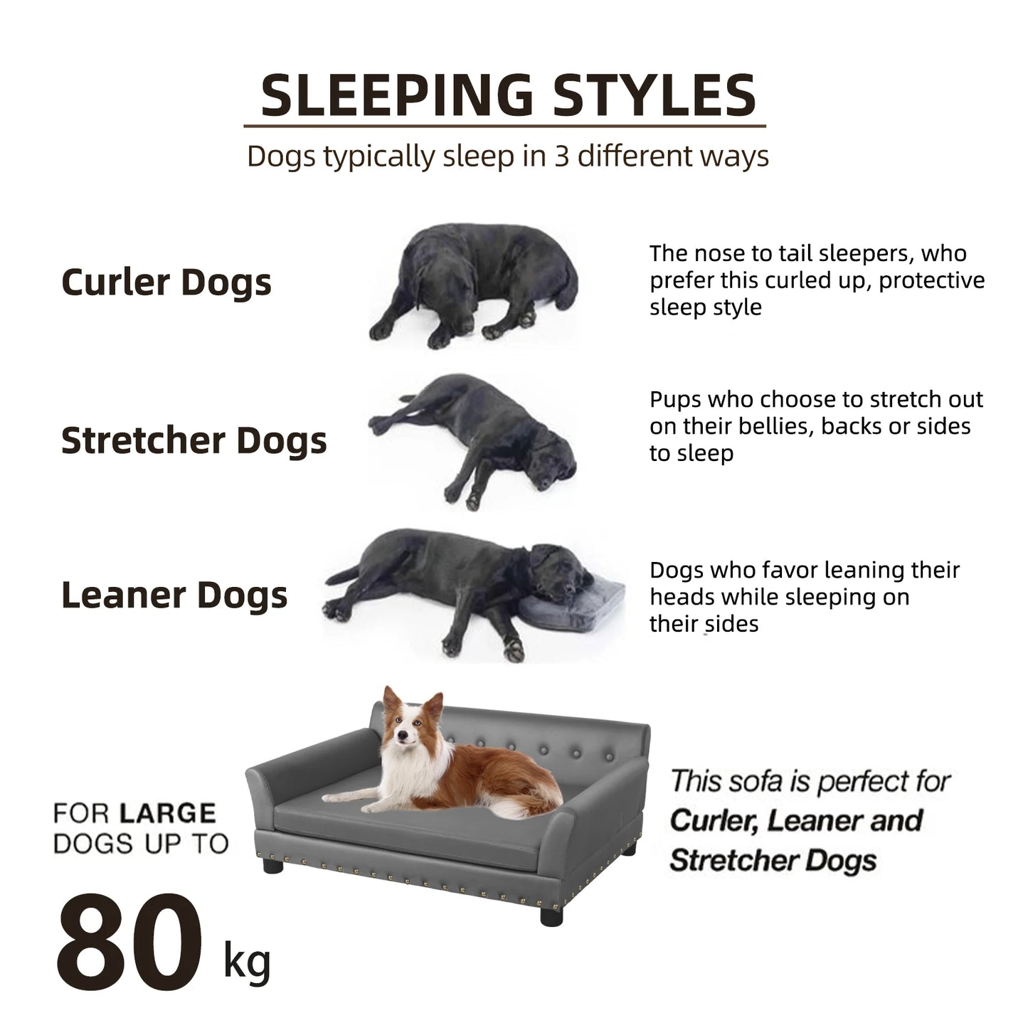 BINGOPAW Elevated Dog Bed Sofa With Waterproof Removable Cushion