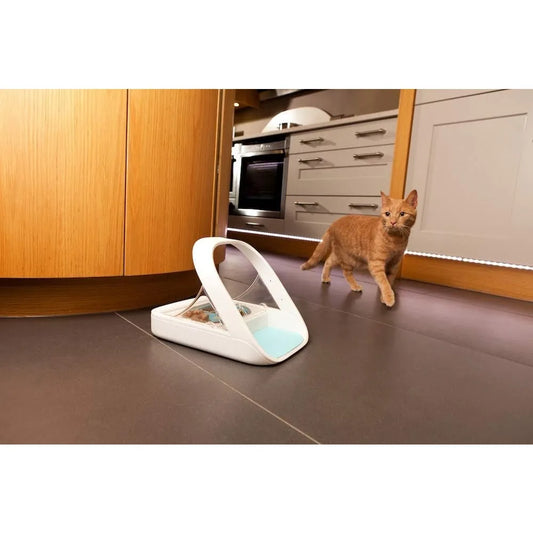 Microchip Pet Feeder Selective Automatic Feeding System For Meal Times