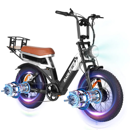 Baolujie Dual Motor 2000W Electric Bike Full Suspension