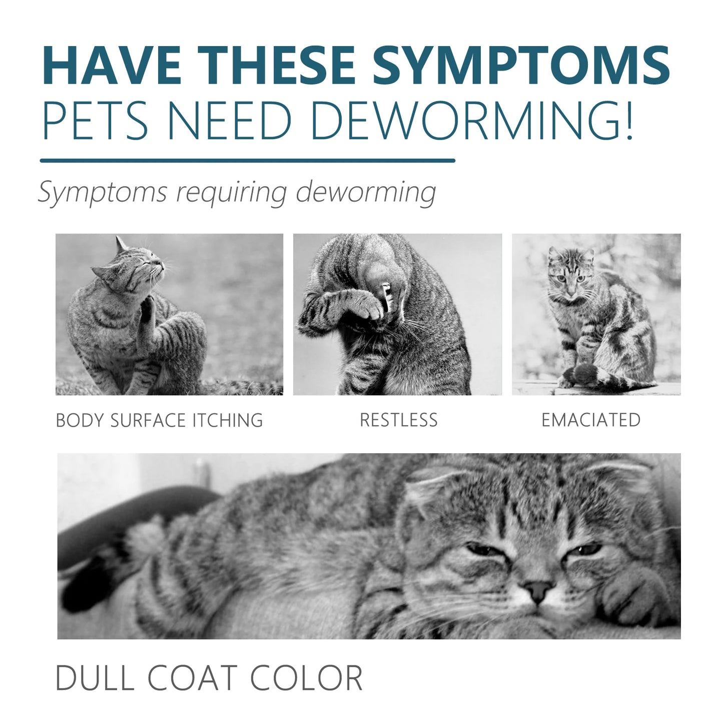 YEGBONG Pet Anti Flea and Tick Drops for Cats and Dogs