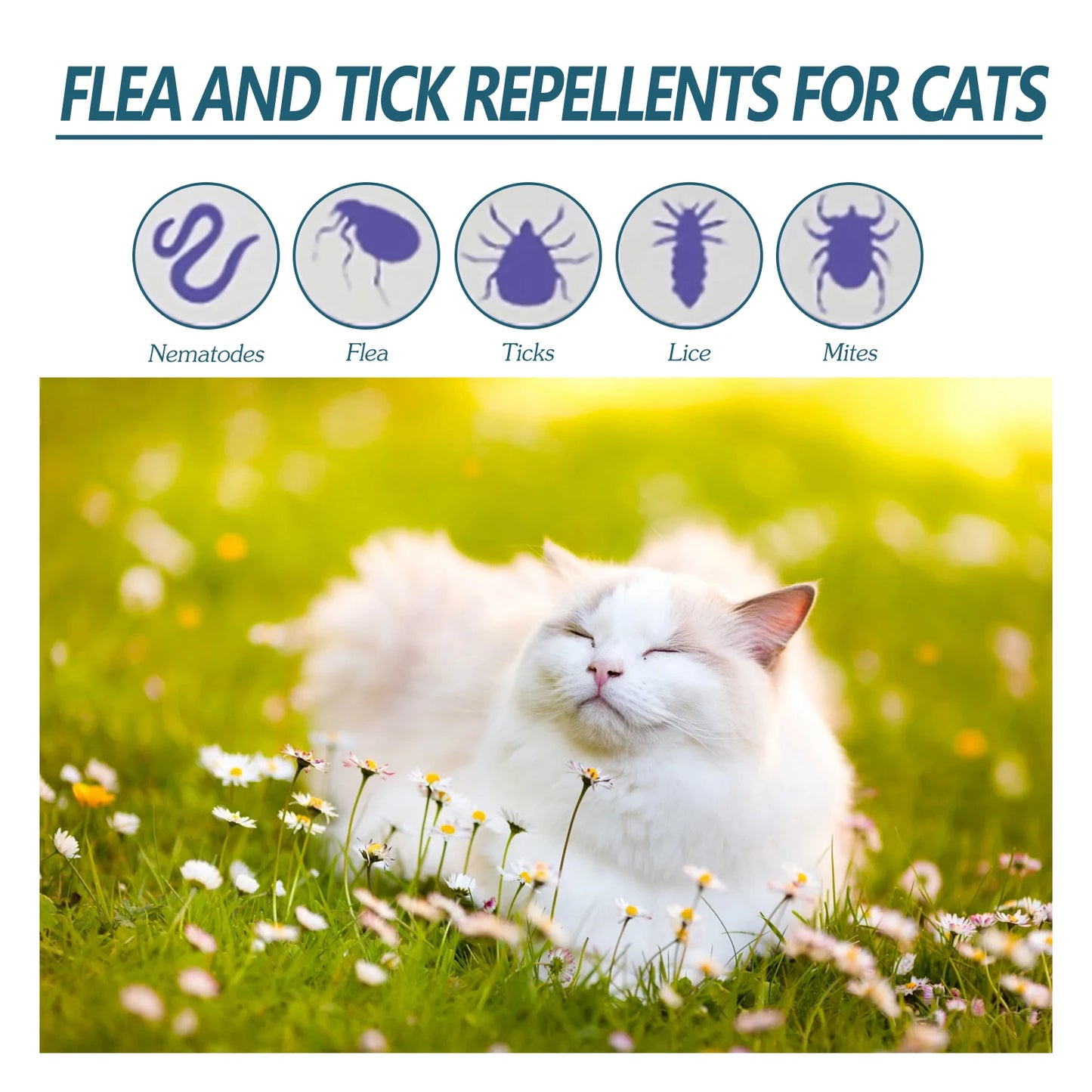 YEGBONG Pet Anti Flea and Tick Drops for Cats and Dogs