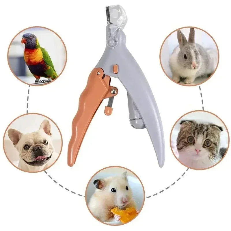 Pet Nail Clippers With LED Light For Dogs And Cats Precision Trim