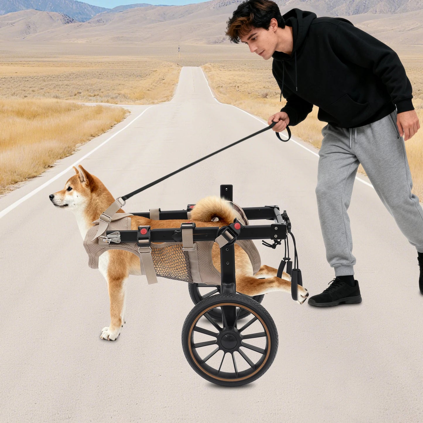 Bymaocar Adjustable Pet Trolley Dog Wheelchair Rehabilitation Cart