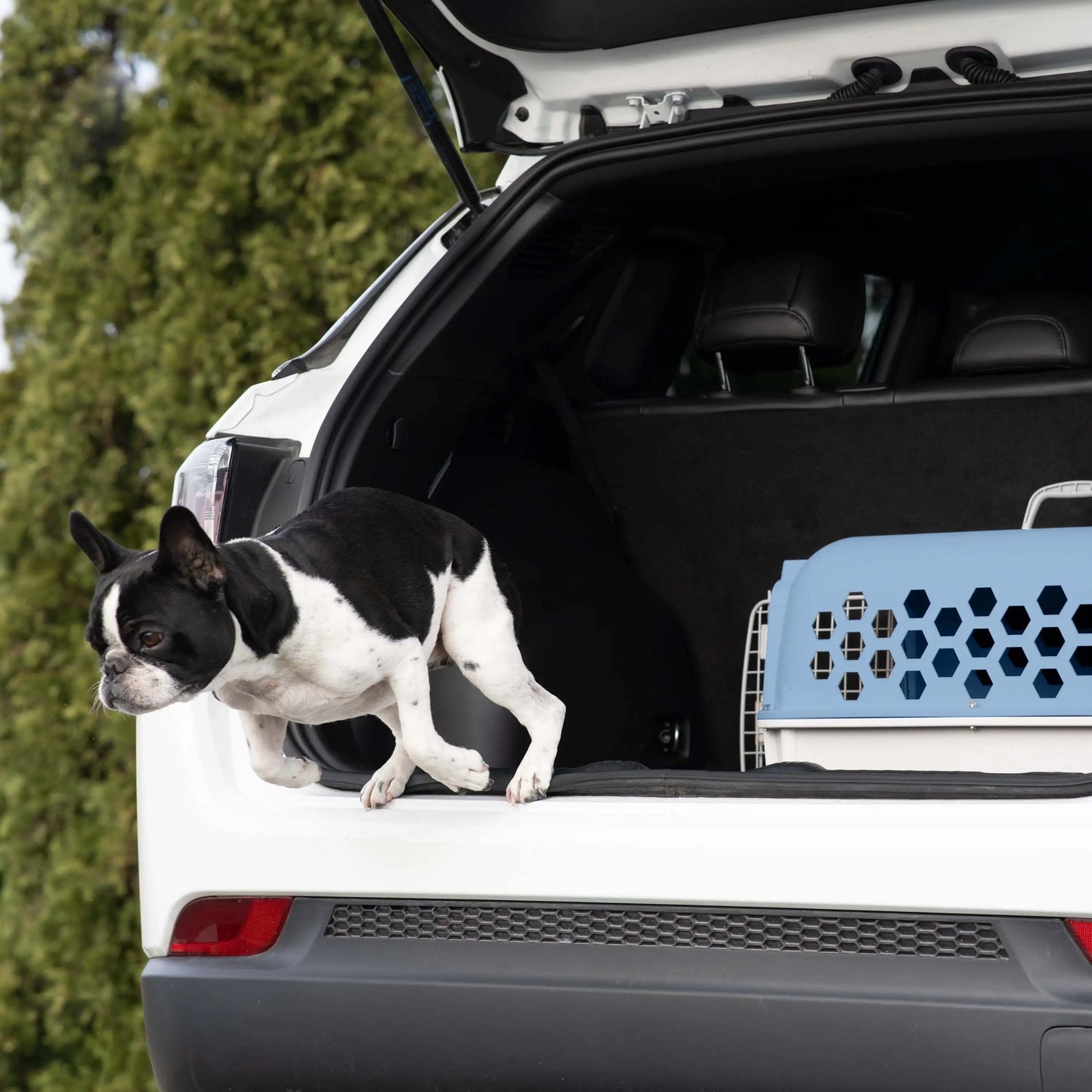 Dog And Cat Kennel Durable Portable Easy To Carry Lightweight