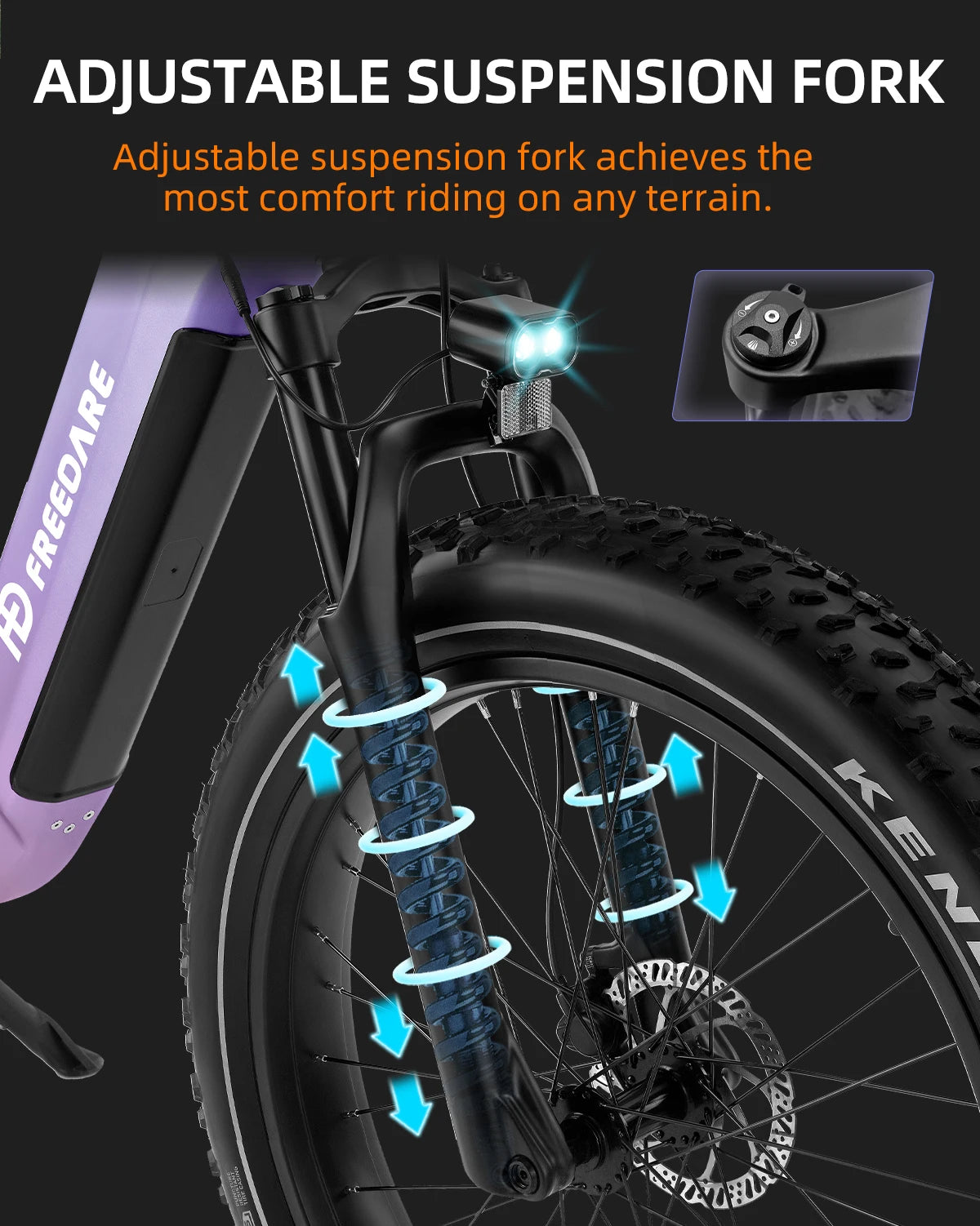 Freedare Fat Tire Electric Bike 1000W All Terrain EBike