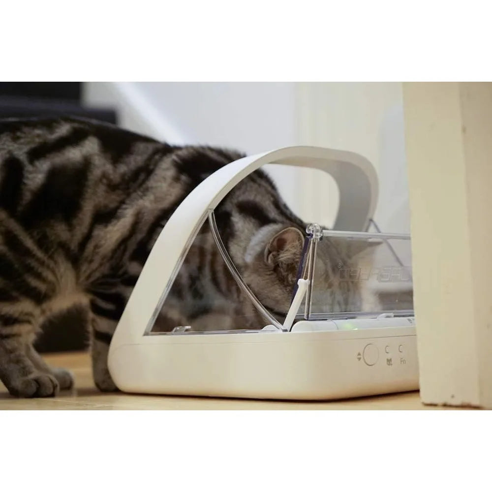 Microchip Pet Feeder Selective Automatic Feeding System For Meal Times