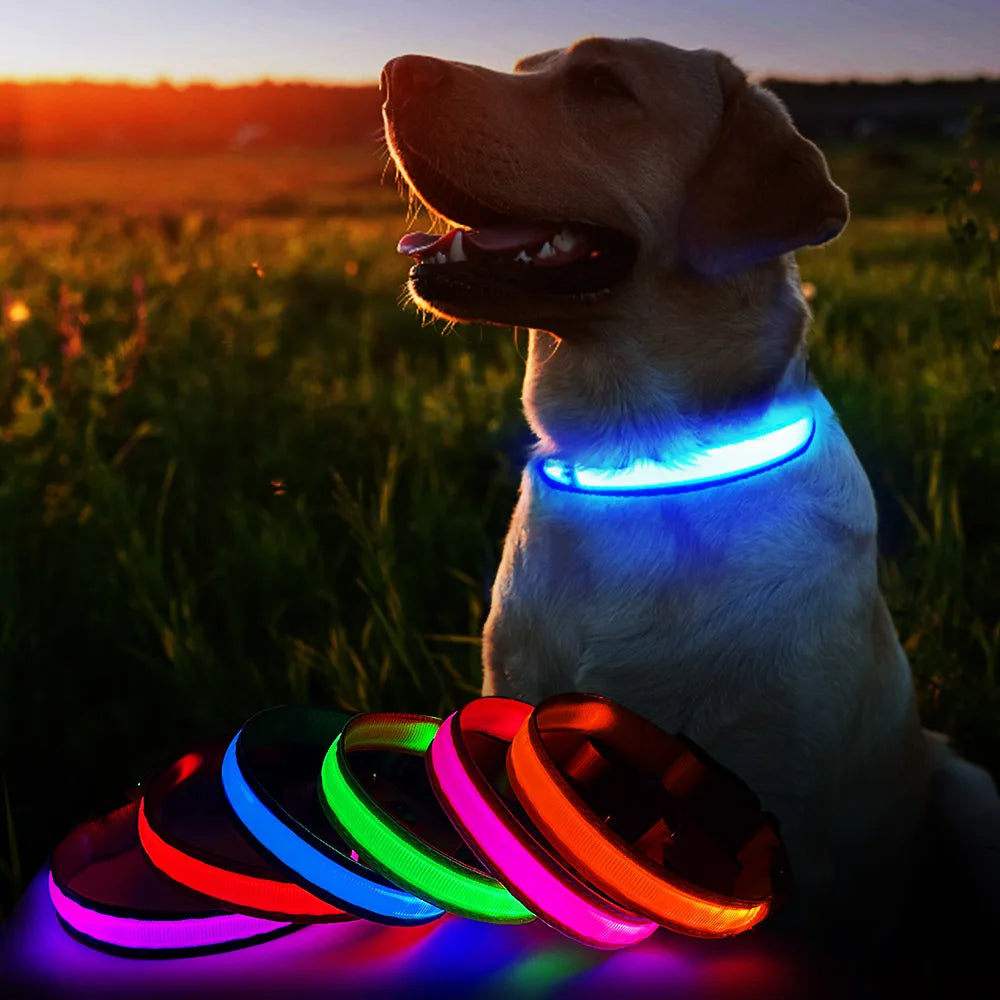MASBRILLCN LED Dog Collar Waterproof Glow Necklace With Lights