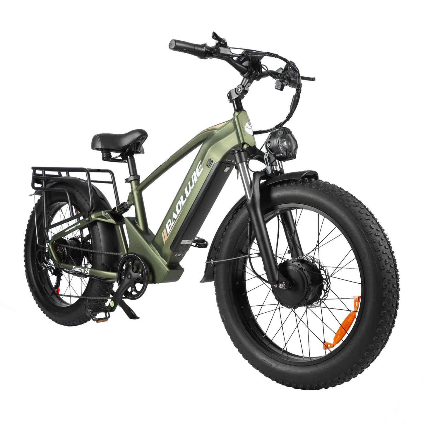 Baolujie 2401 Dual Motor 2000W 48V Removable Battery Electric Bike