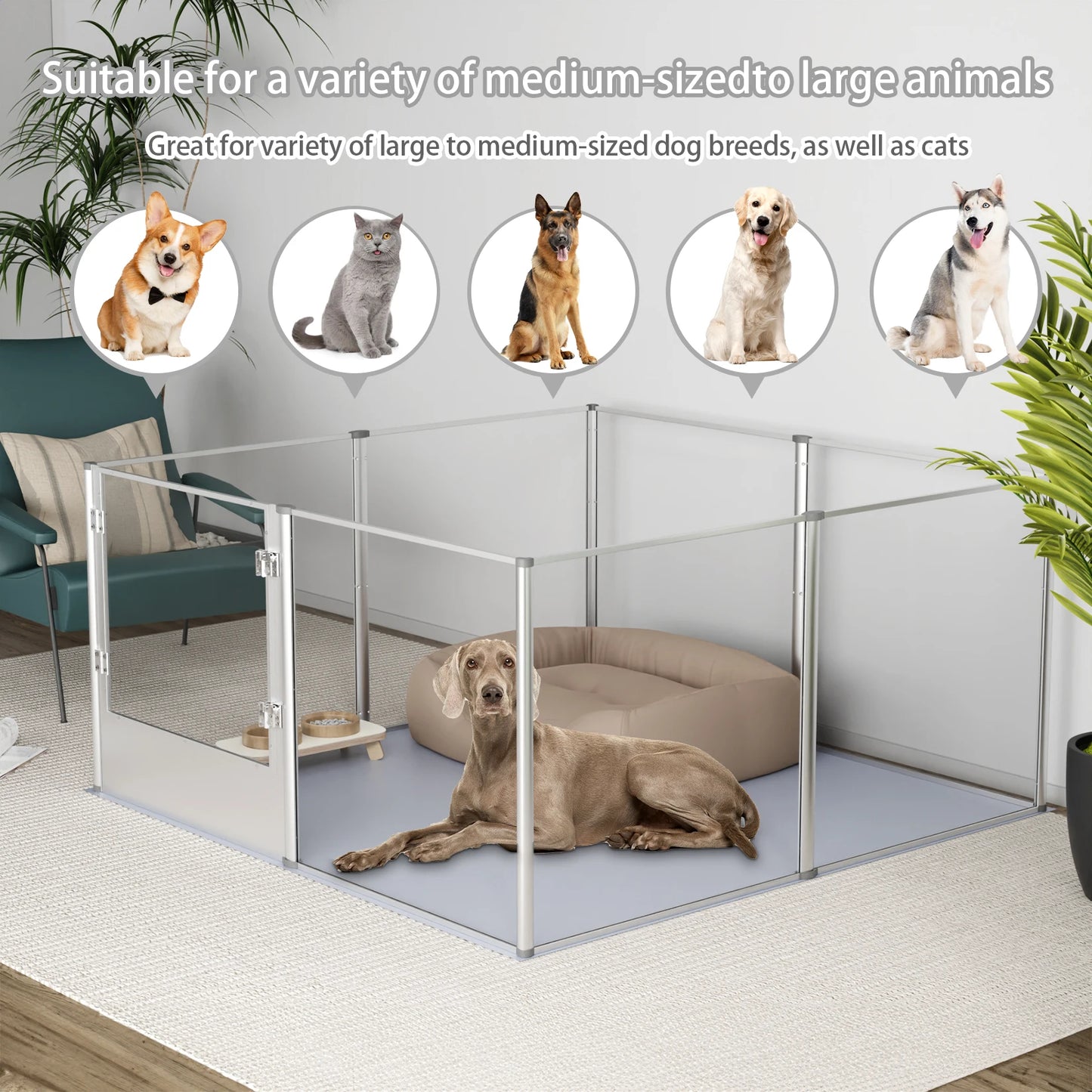 BINGOPAW Dog Playpen Acrylic Kennel Fence for Pets