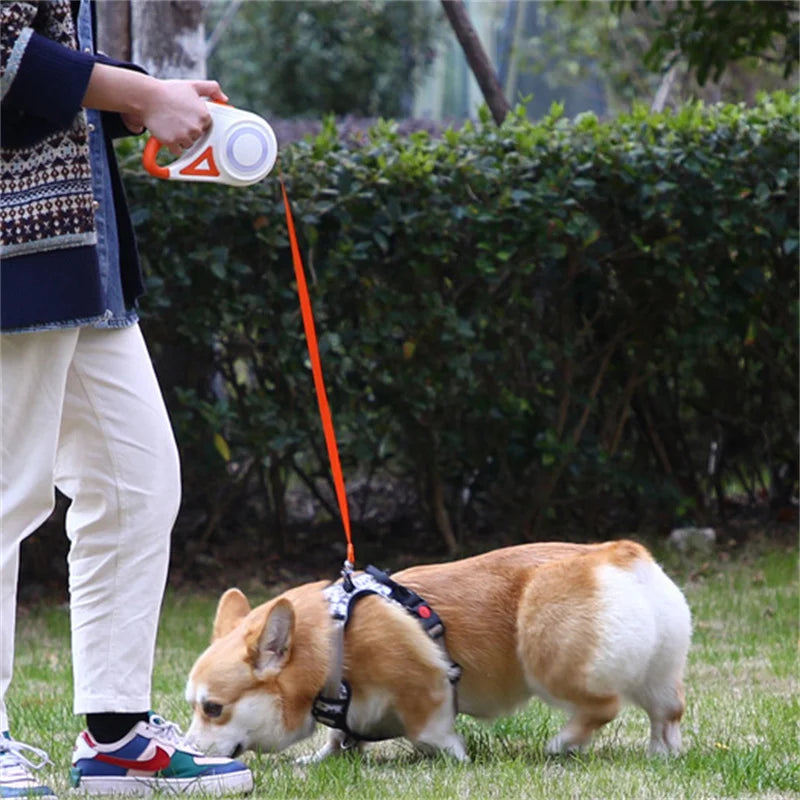 Booteely Automatic Retractable Dog Leash With Led Light
