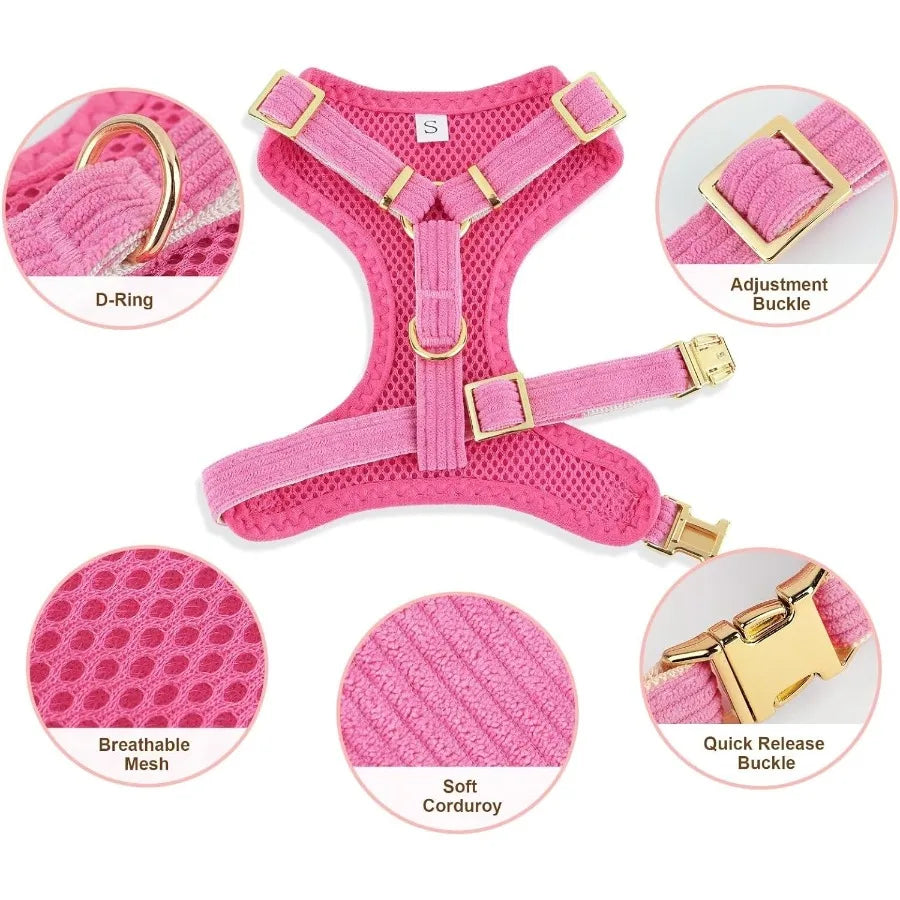 High-concerned Dog Harness Leash Set With Bowtie Mesh Vest