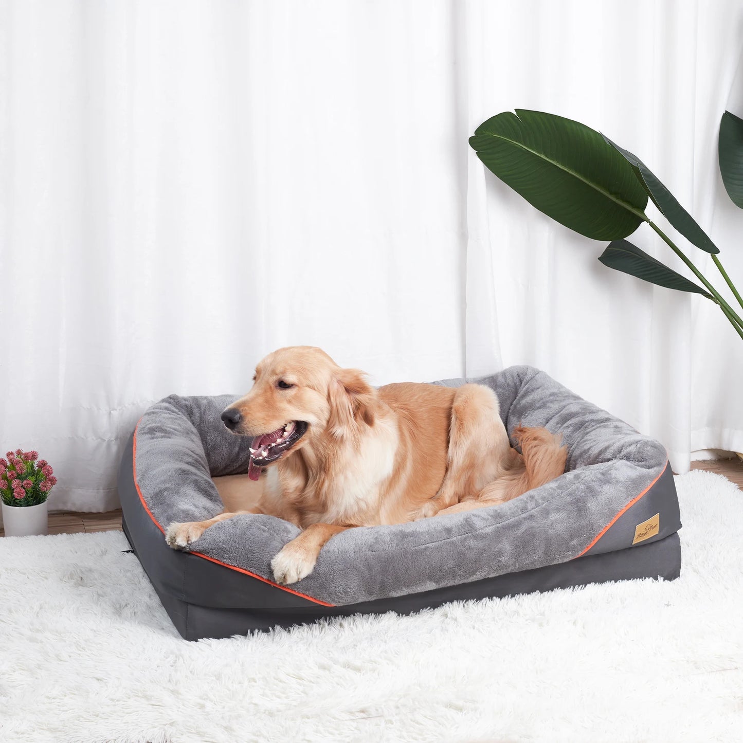 BINGOPAW Dog Bed With Removable Washable Cover