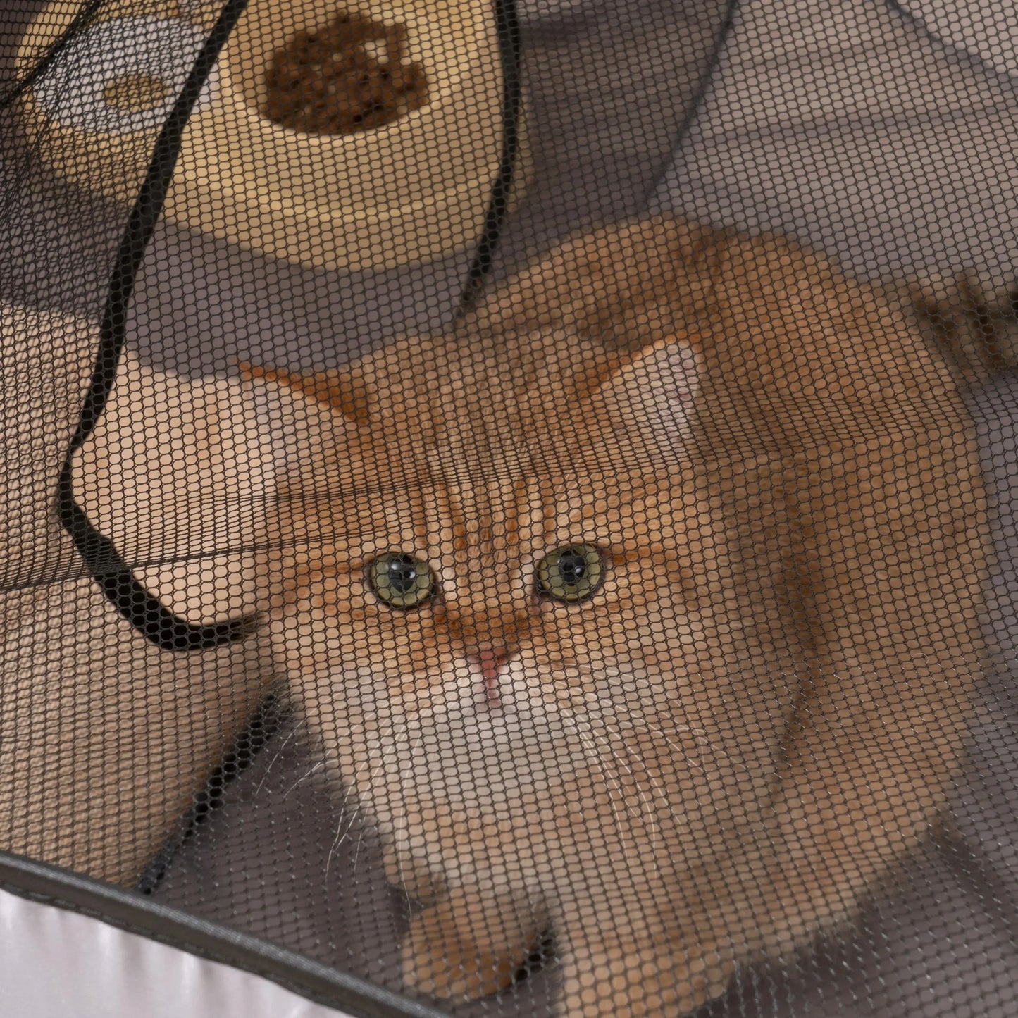 Foldable Oxford Cloth Cat Dog Bed With Play Tunnel Nest