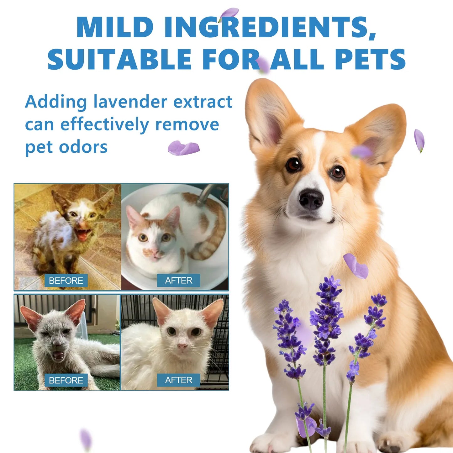 YEGBONG Pet Wash Free Serum For Dogs And Cats