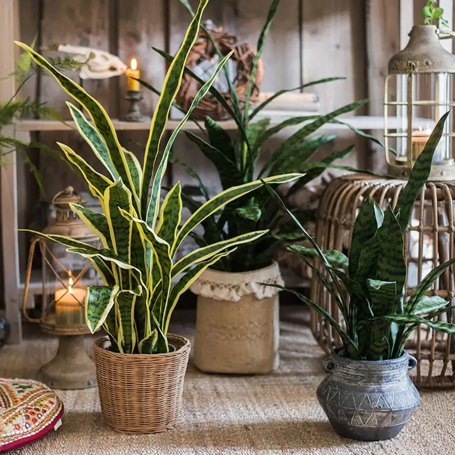 Artificial Snake Plant Sansevieria Potted Indoor Plant for Home Office Living Room Decor