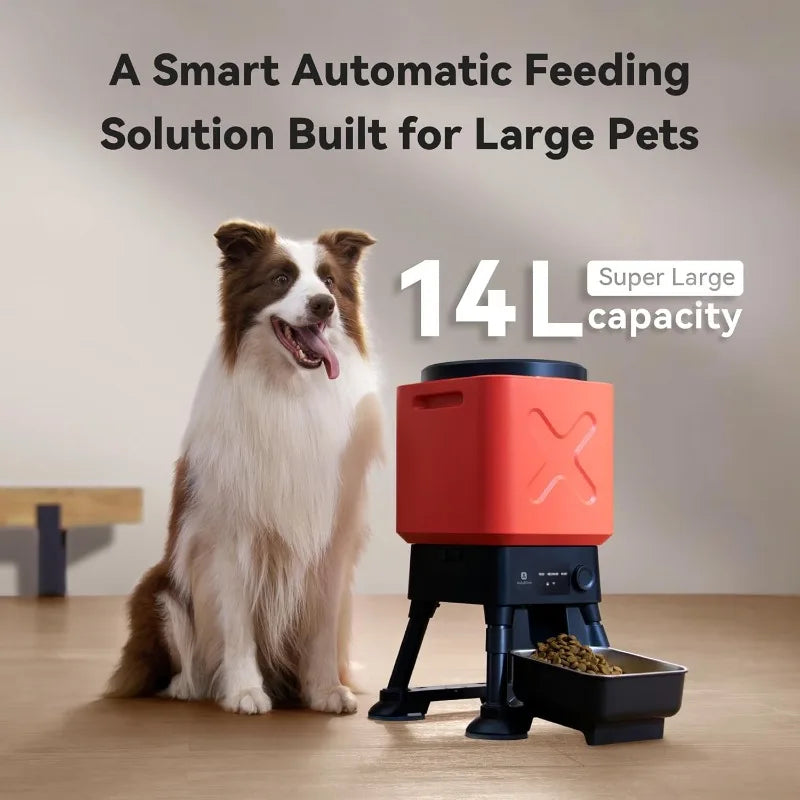 Automatic Timed Dog Feeder Dispenser Anti Blockage For Dogs