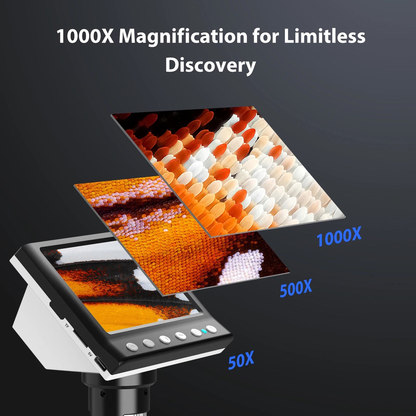 Hayve Digital Microscope 1000X With Eight LEDs PC View
