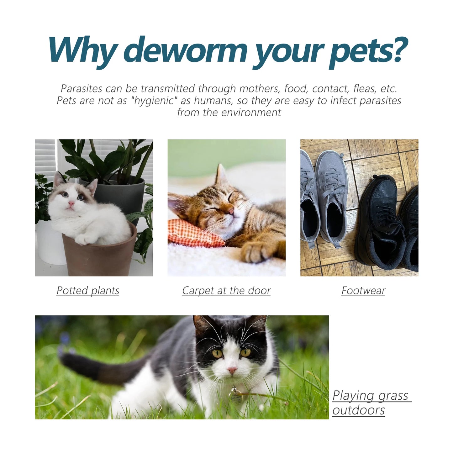 YEGBONG Pet Anti Flea and Tick Drops for Cats and Dogs