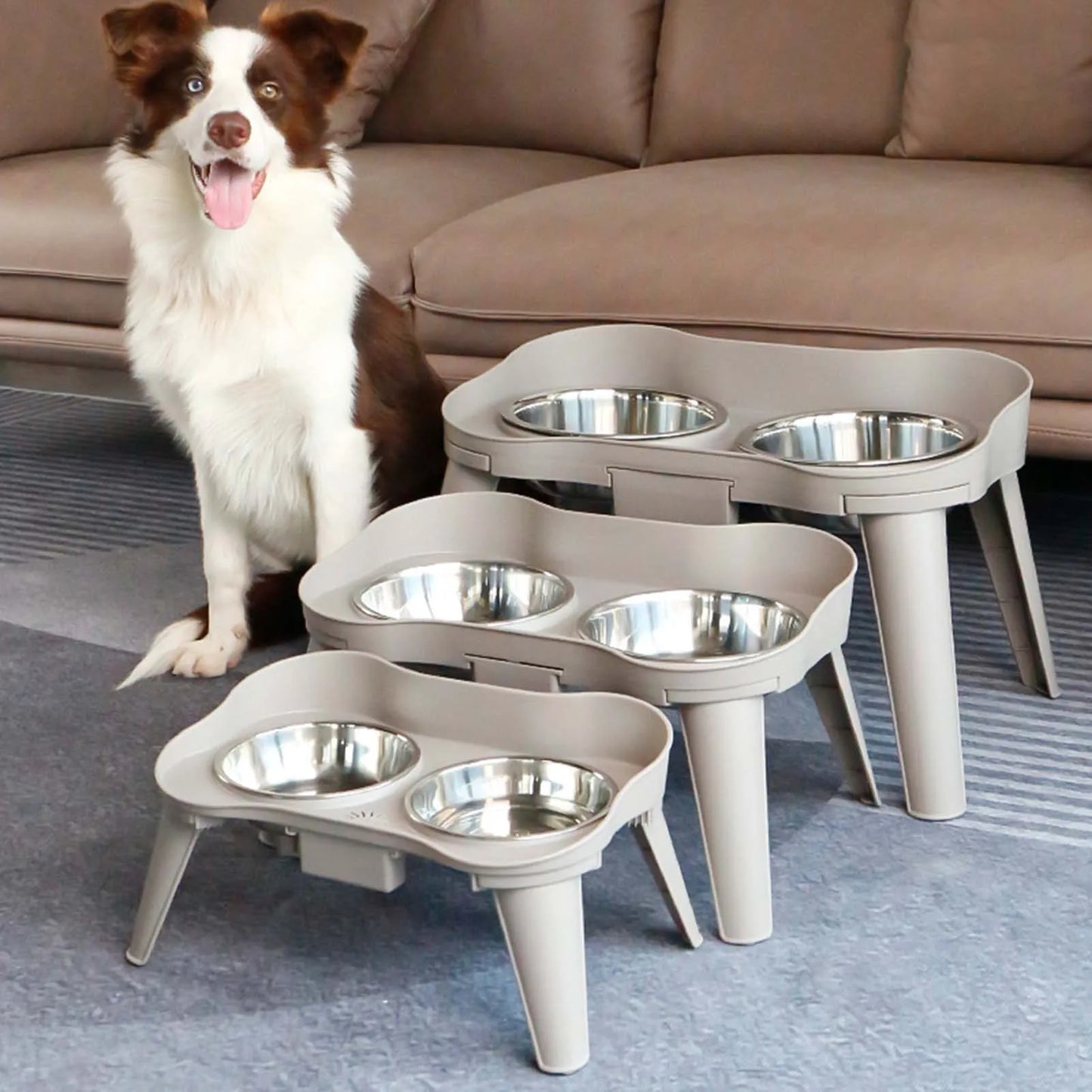 Stainless Steel Elevated Dog Feeder Bowl Non Slip No Spill