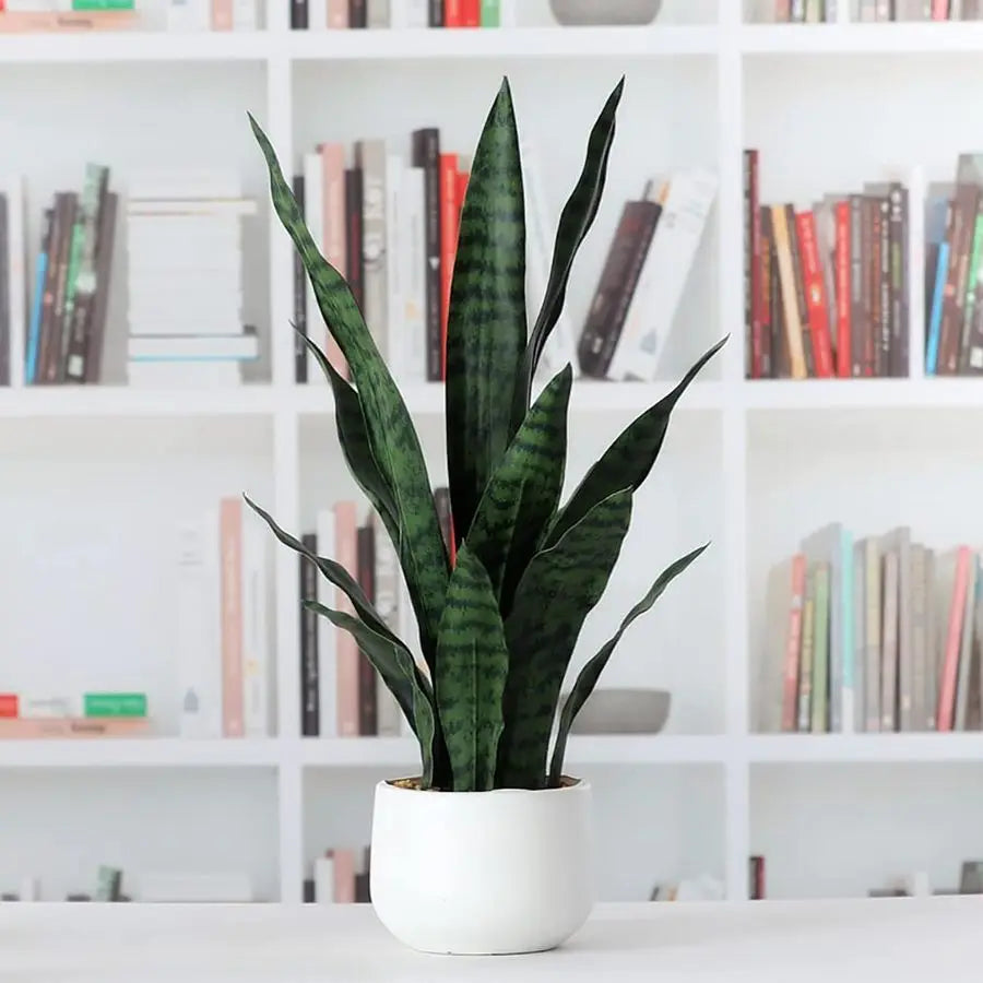 Artificial Snake Plant Sansevieria Potted Indoor Plant for Home Office Living Room Decor